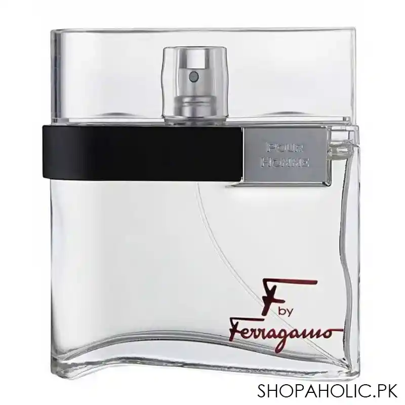 salvatore ferragamo f by ferragamo pour homme eau de toilette 100ml main image