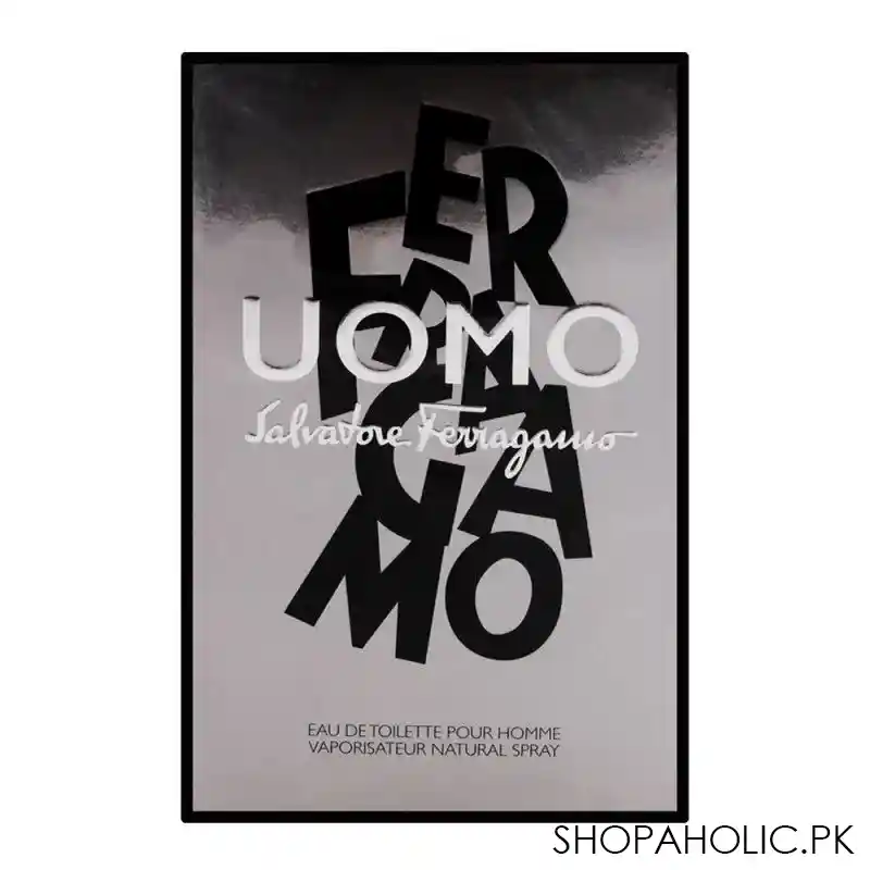 salvatore ferragamo uomo eau de toilette 100ml image2