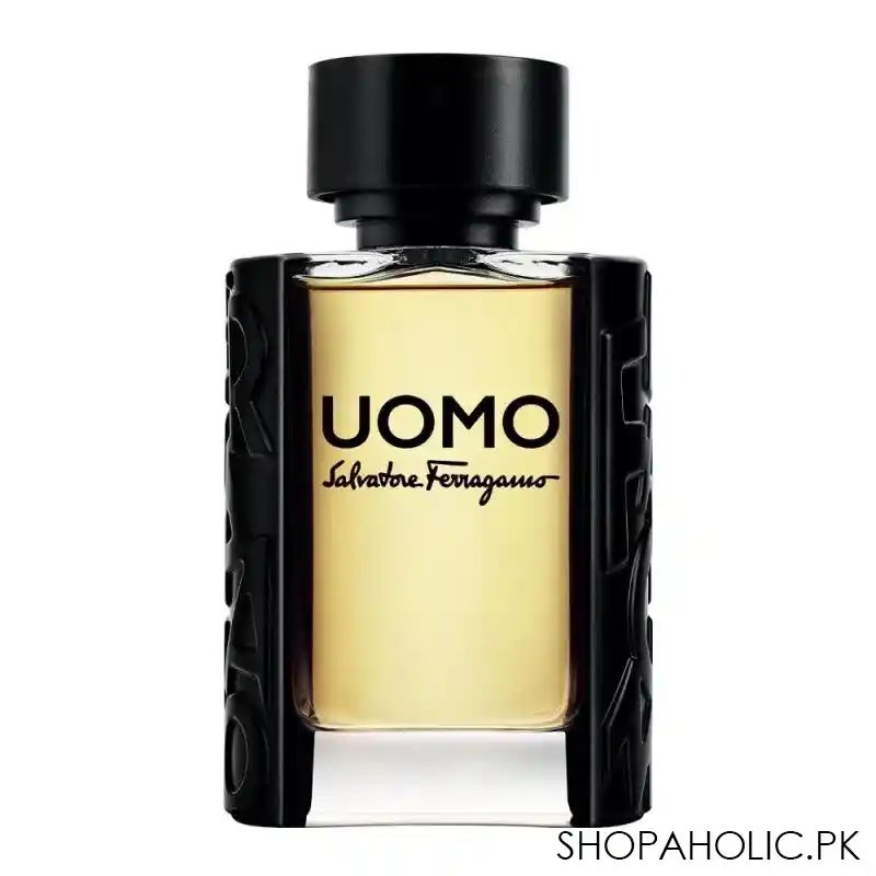 salvatore ferragamo uomo eau de toilette 100ml main image