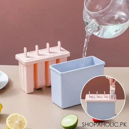 set of 4 popsicles mold with container image3