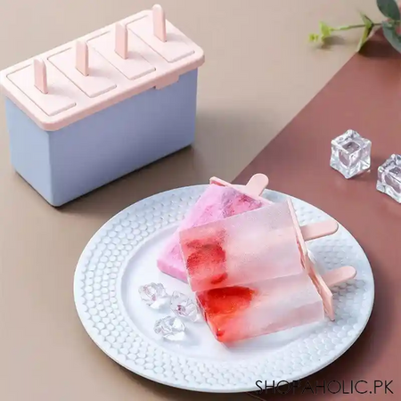 set of 4 popsicles mold with container image4