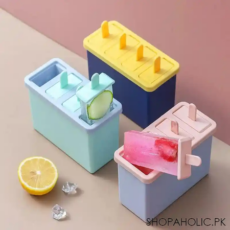 set of 4 popsicles mold with container image5
