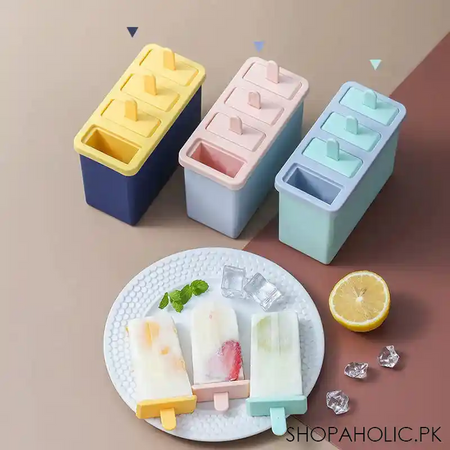 set of 4 popsicles mold with container main image