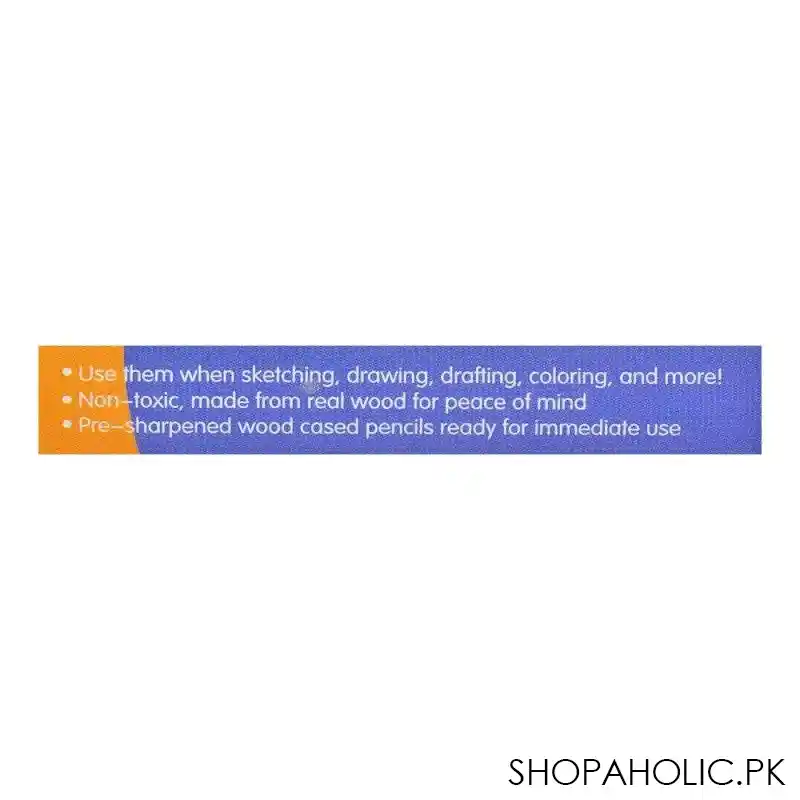 sj paint color, purple, bd cl22 image3