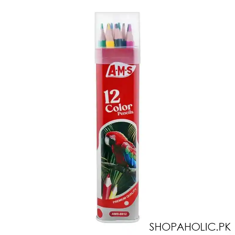 Buy SJ Paint Color, Red, AMS-8812 Price in Pakistan – Shopaholic.pk