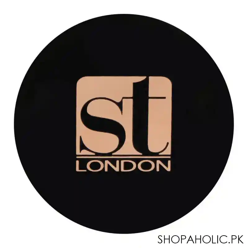 st london dual wet & dry eyeshadow, brown, matt & pearly, long lasting image2