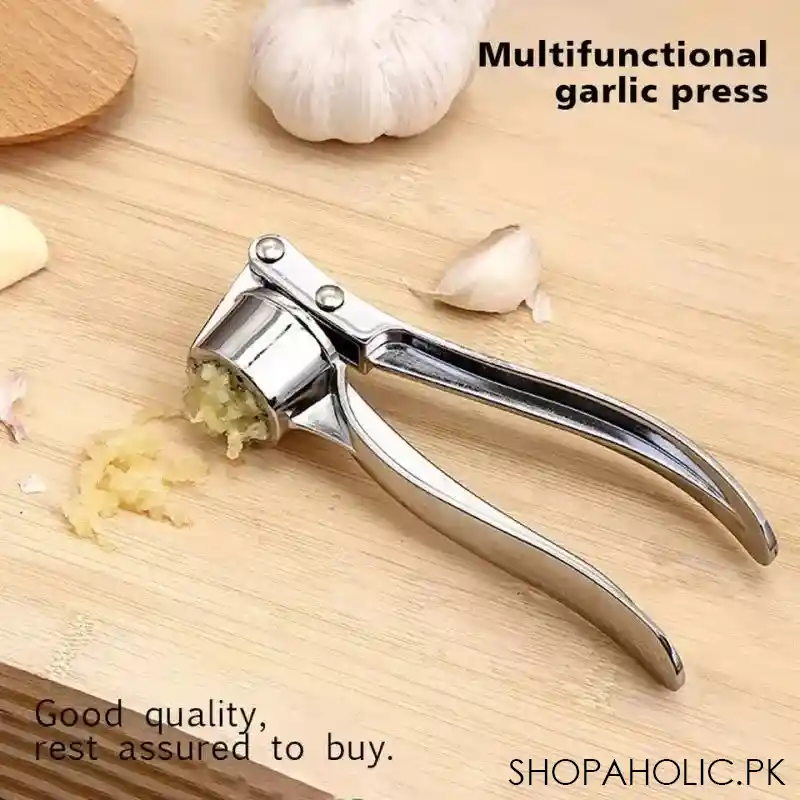 stainless steel garlic press crusher main image