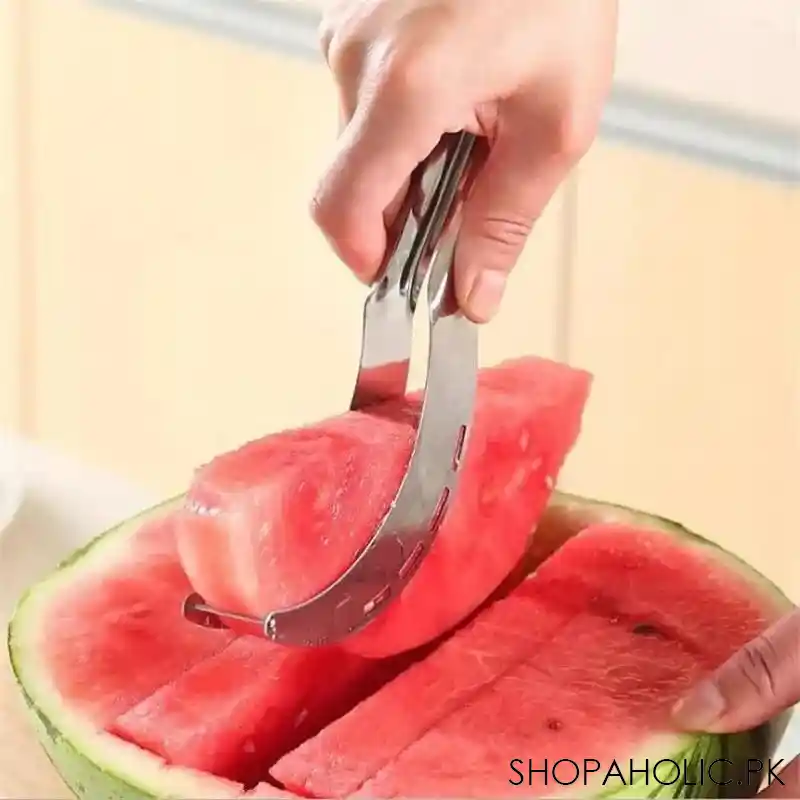 stainless steel watermelon slicer main image