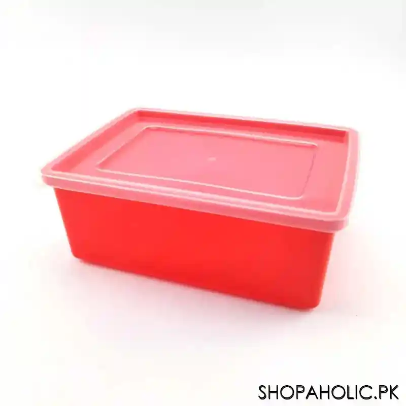 storex food container (1600 ml) main image