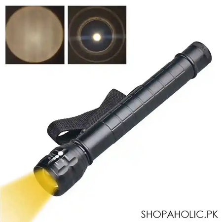 strong light flashlight image4