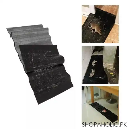 super glue rat magic carpet image3
