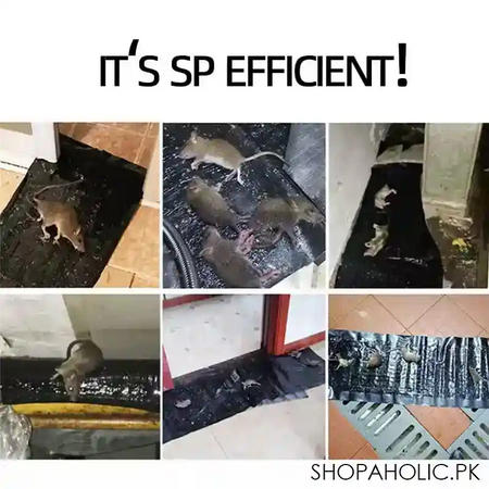 super glue rat magic carpet image4