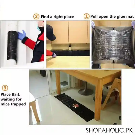 super glue rat magic carpet image5