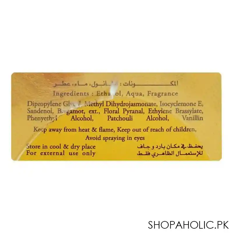 surrati ambre noir extrait de ambre, for men, 100ml image2