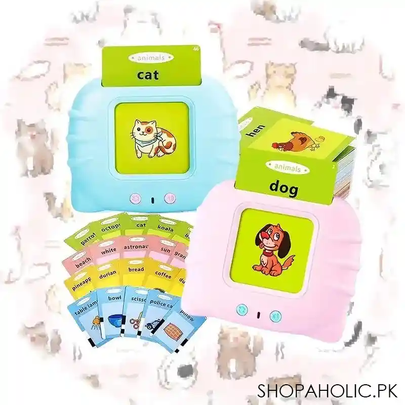 talking flash card reader image2