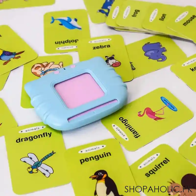 talking flash card reader image4