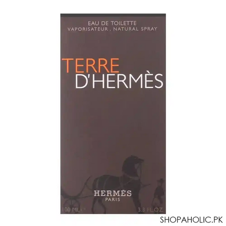 terre d'hermes eau de toilette 100ml image2