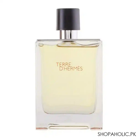 terre d'hermes eau de toilette 100ml main image