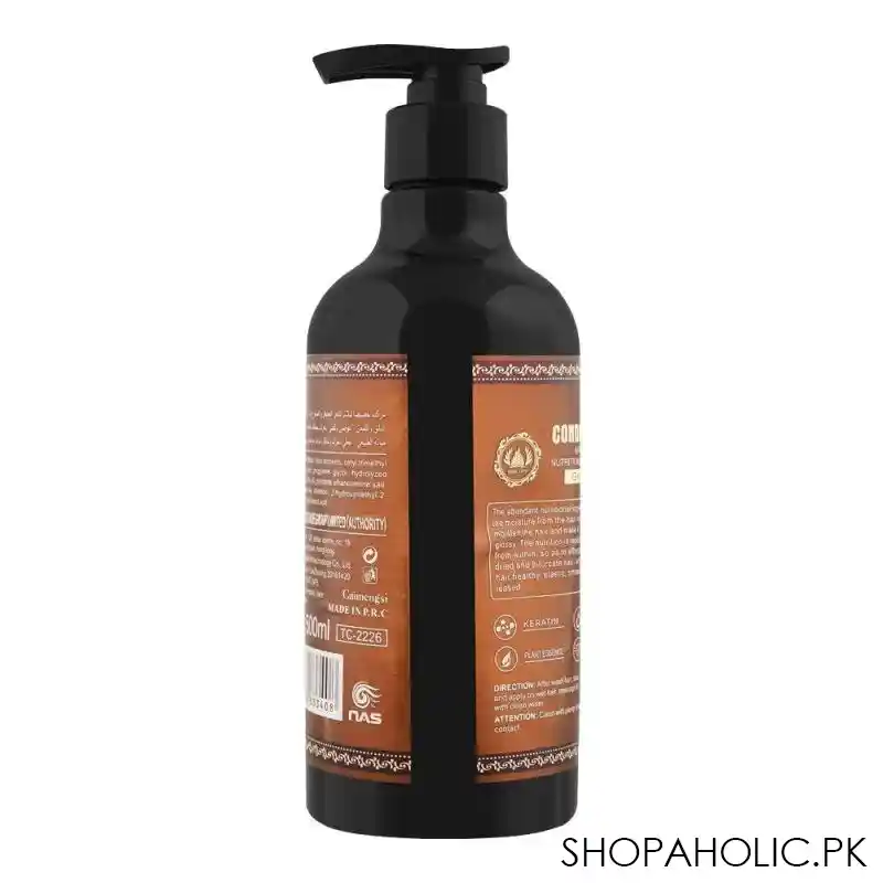 tree city natural + professional keratin ginger conditioner, nutritional & smooth, 500ml image2
