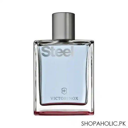 victorinox steel for him eau de toilette, fragrance for men, 100ml image2