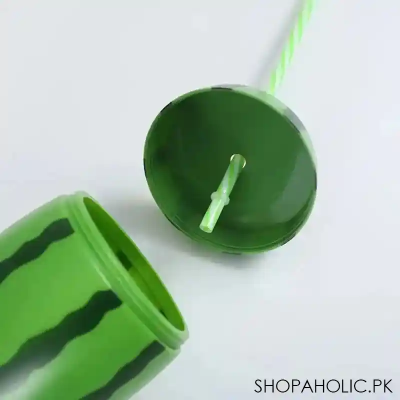 watermelon water bottle image5