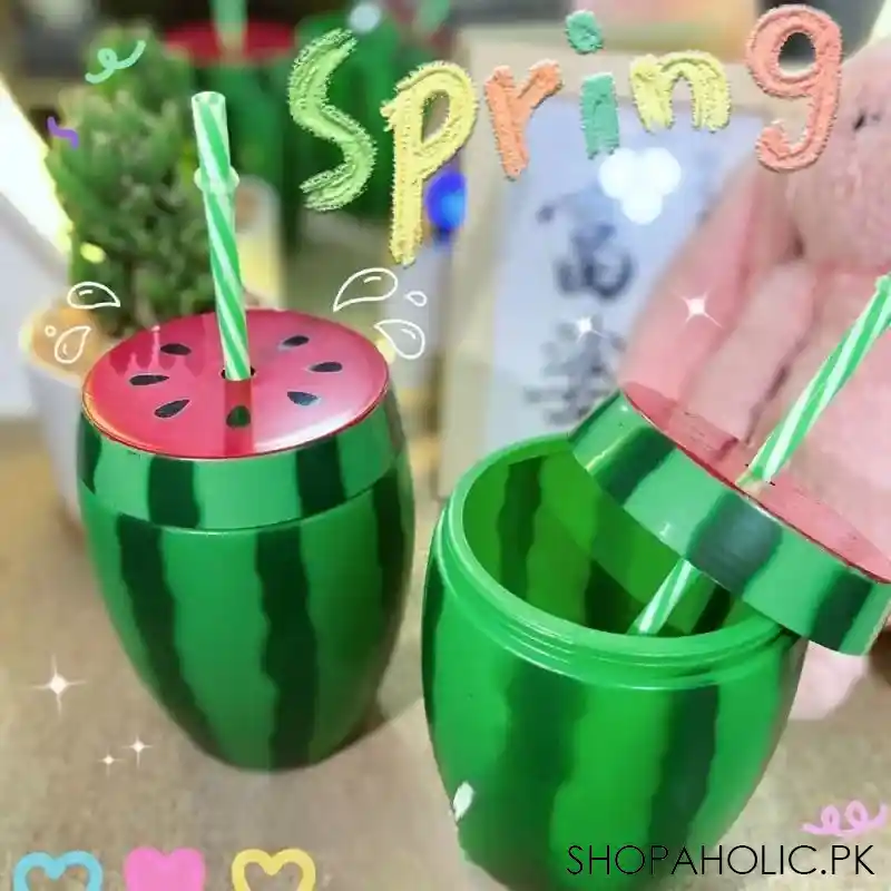 watermelon water bottle main image
