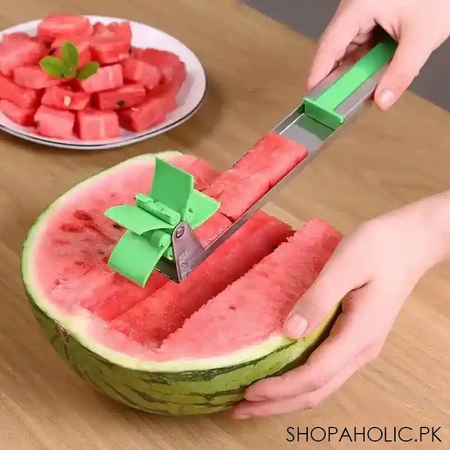 watermelon windmill cutter main image