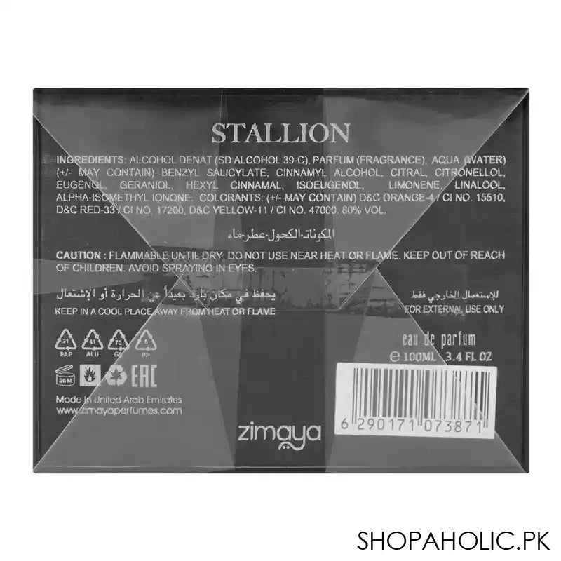 Zimaya Stallion, Eau de Parfum, For Men, 100ml - Image 3
