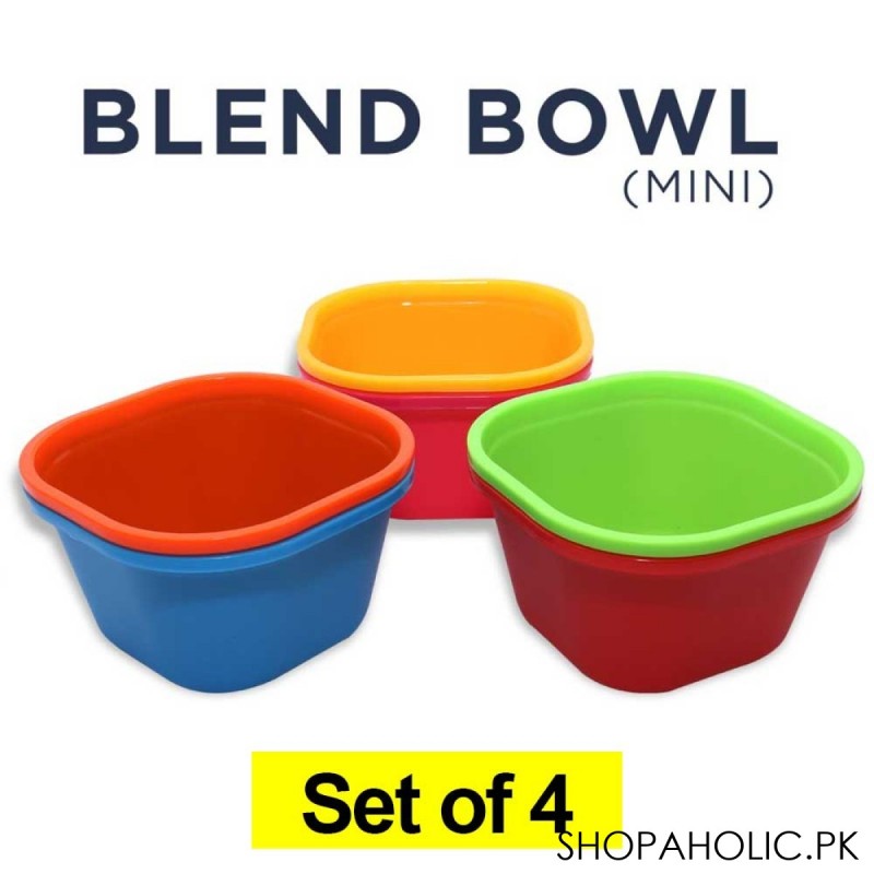 (Set Of 4) Blend Bowl Mini