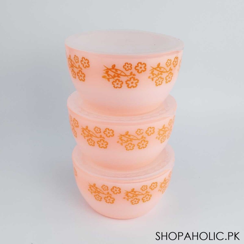 Beli Plastic (Set of 3) Printed Bowl - 400ml