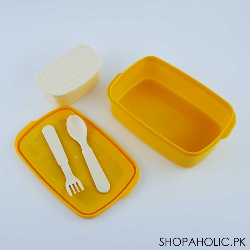 Rectangle Plastic Lunch Box