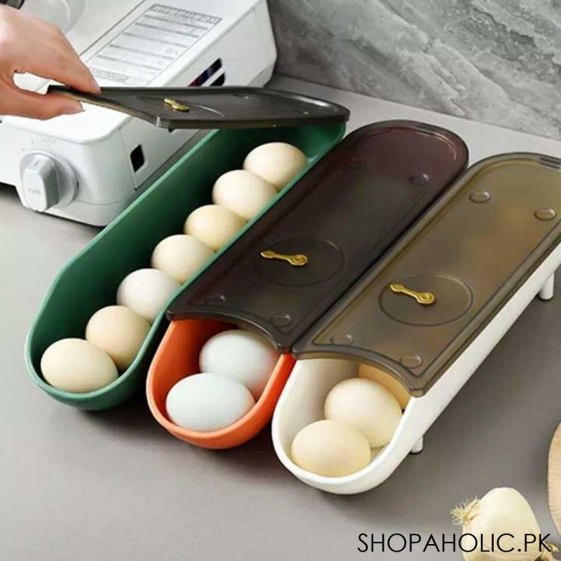 Egg Tray Storage Box for Fridge