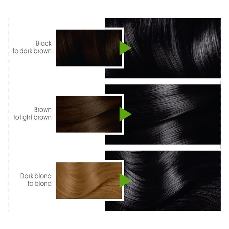 Garnier Color Natural Hair Color 1