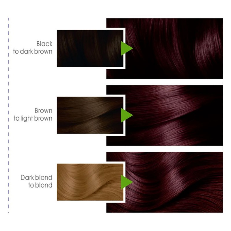 Garnier Color Natural Hair Color 3