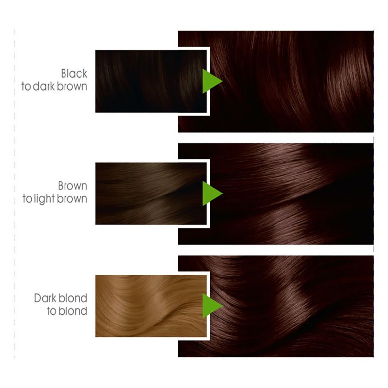 Garnier Color Natural Hair Color 6.7