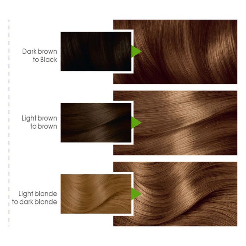 Garnier Color Natural Hair Color 6