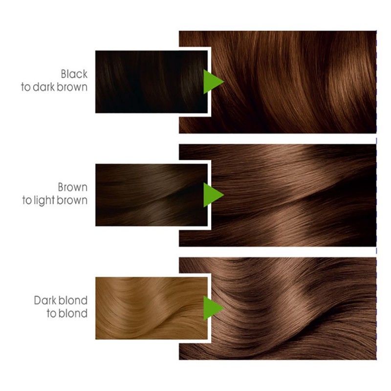 Garnier Color Natural Hair Color 6.34
