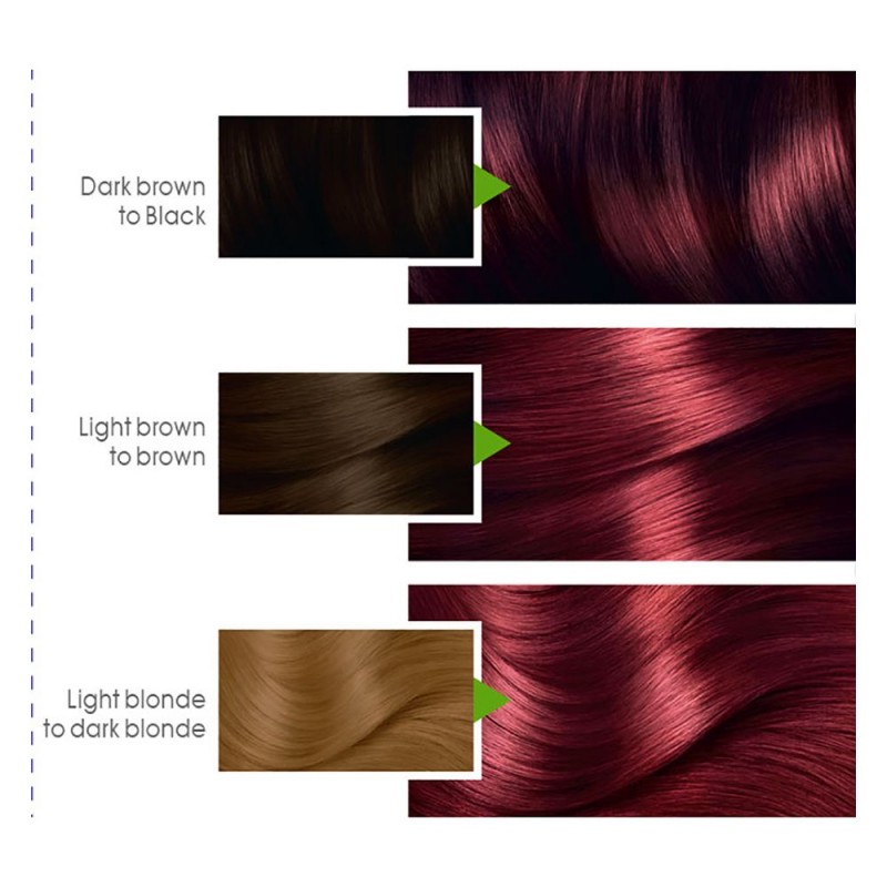 Garnier Color Natural Hair Color 6.66