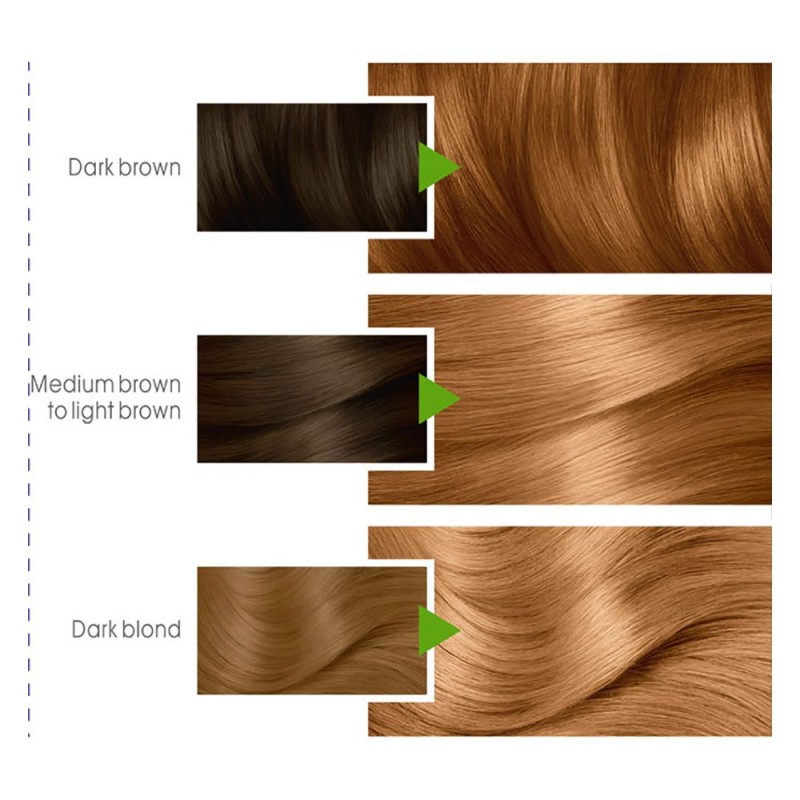 Garnier Color Natural Hair Color 7.3